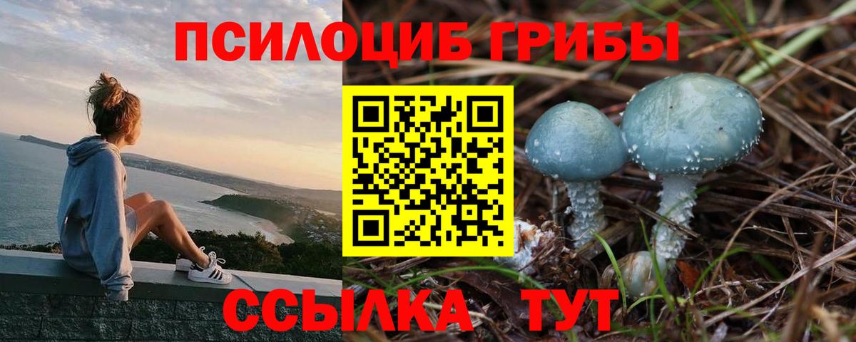 продажа наркотиков  Галлюциногенные грибы мухоморы  Псилоцибиновые грибы Cubensis  Вход с VPN  Буйнакск 